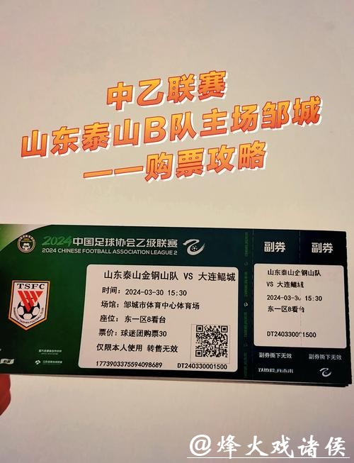 如何使用国际足联官方票务门户购票